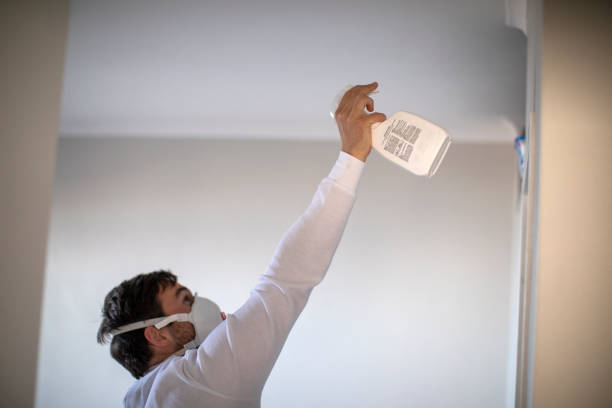 Best Toxic Mold Removal  in Madison Heights, VA