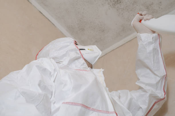 Best Crawl Space Mold Removal  in Madison Heights, VA