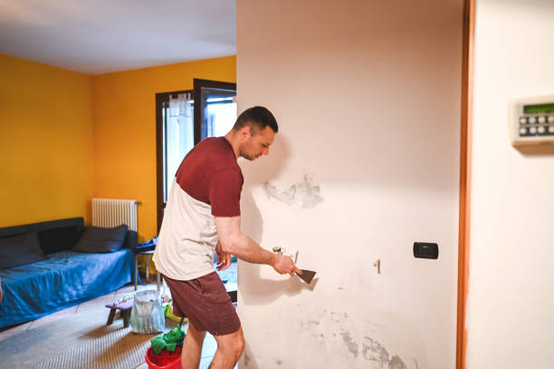 Best Professional Mold Removal  in Madison Heights, VA